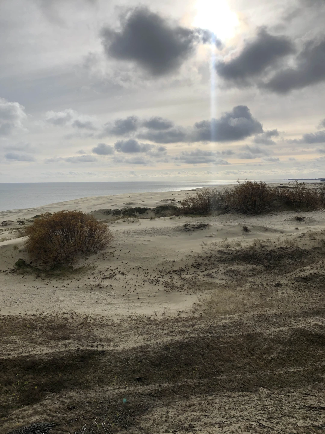 Куршская коса из Зеленоградска (Елена)