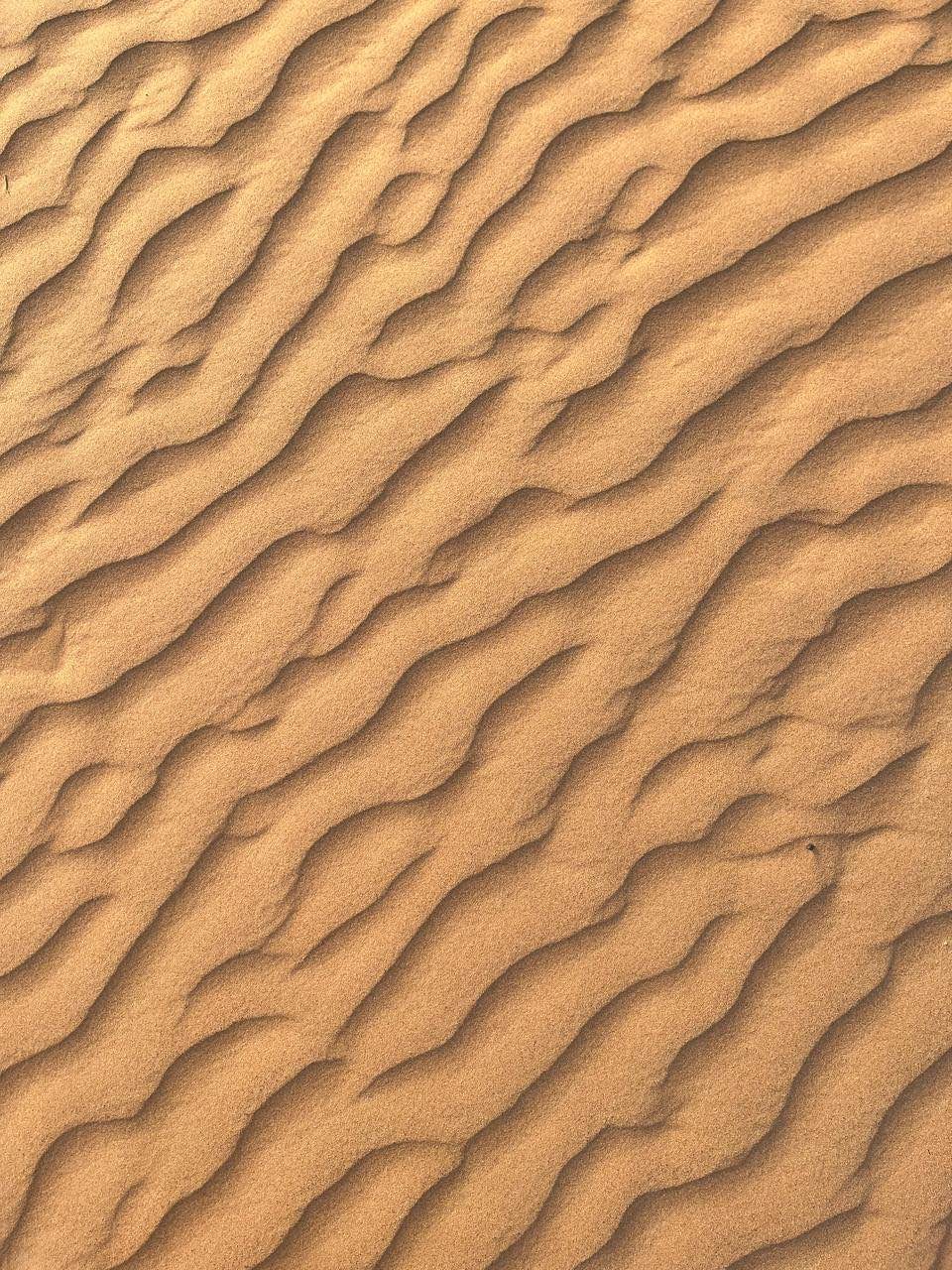 В пустыню! Джип-сафари и вечер в деревне бедуинов