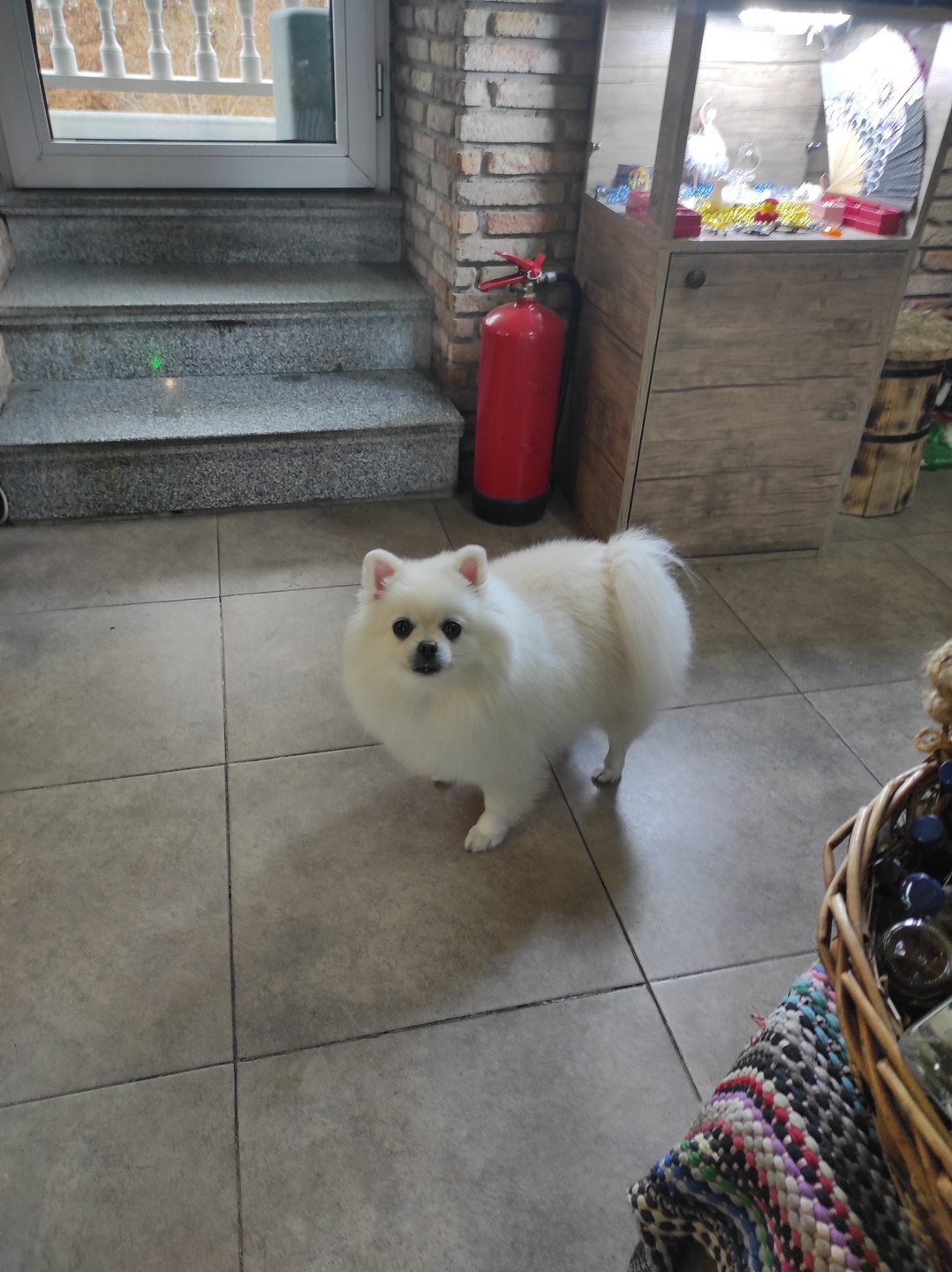 Винно-обзорный променад по Тбилиси (Ekaterina)