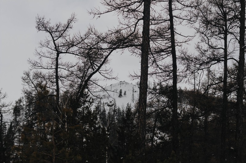 По рекомендации гида отправились на экскурсии на гору Сугомак в Челябинской области — и до сих