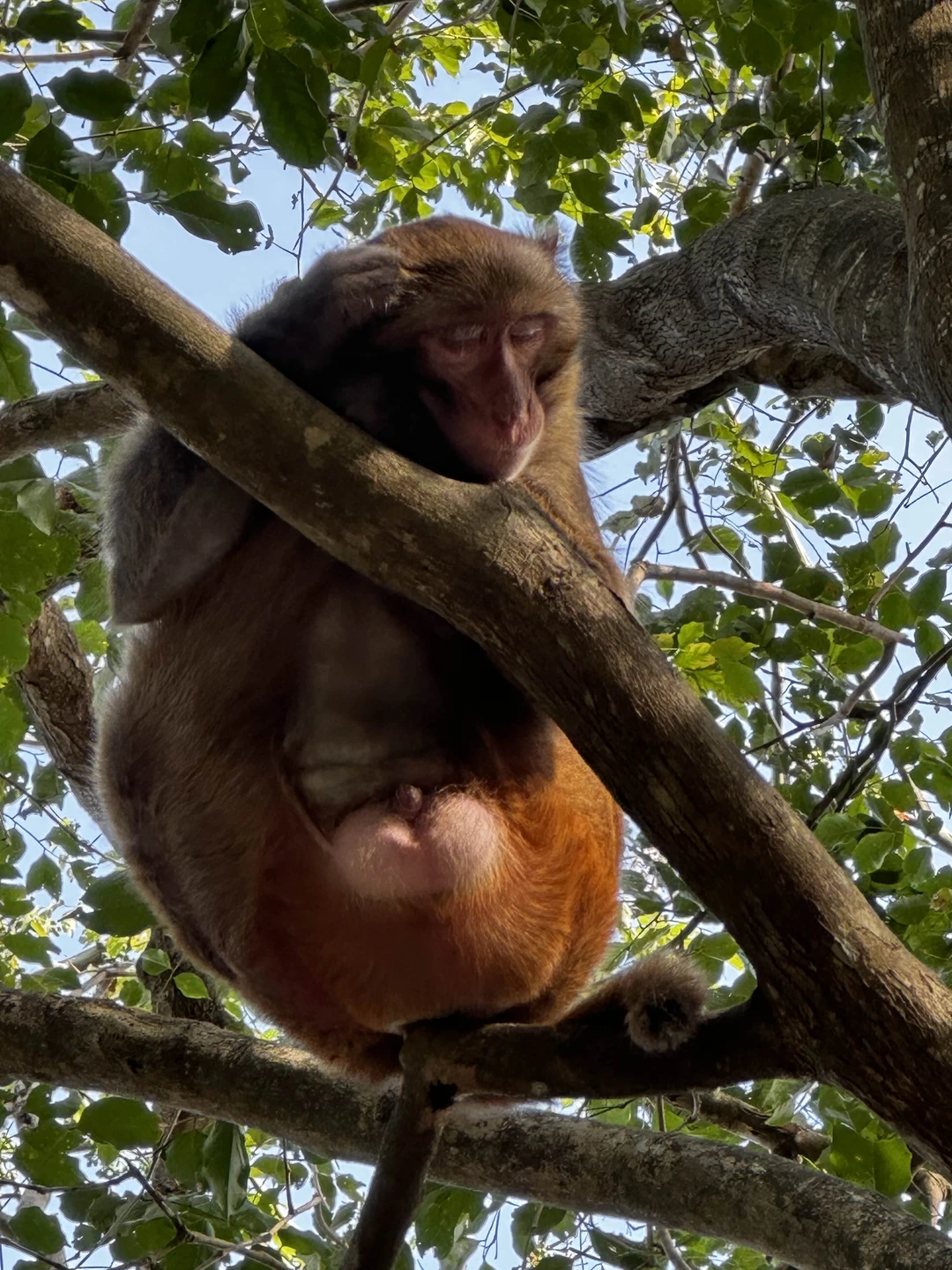 Отличная экскурсия!