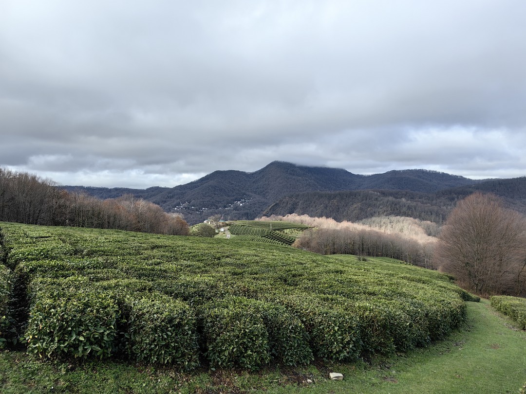 Буду краток. Февраль 2026 года. Семья 3 человека. Поездка с Романом была увлекательной, интересной, познательной! Доставил