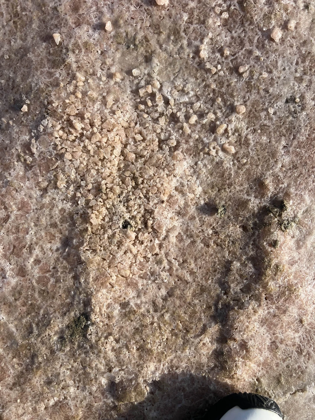 Очень вежливый и хороший экскурсовод. Показал город, рассказал историю города Баку. Экскурсия за городом это просто