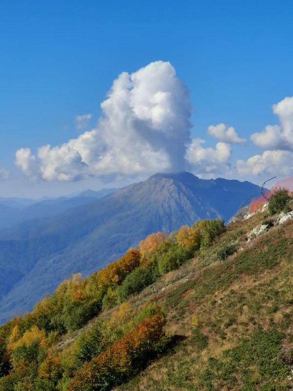 Виды Едем в горы! Из Адлера — на курорты Красной Поляны