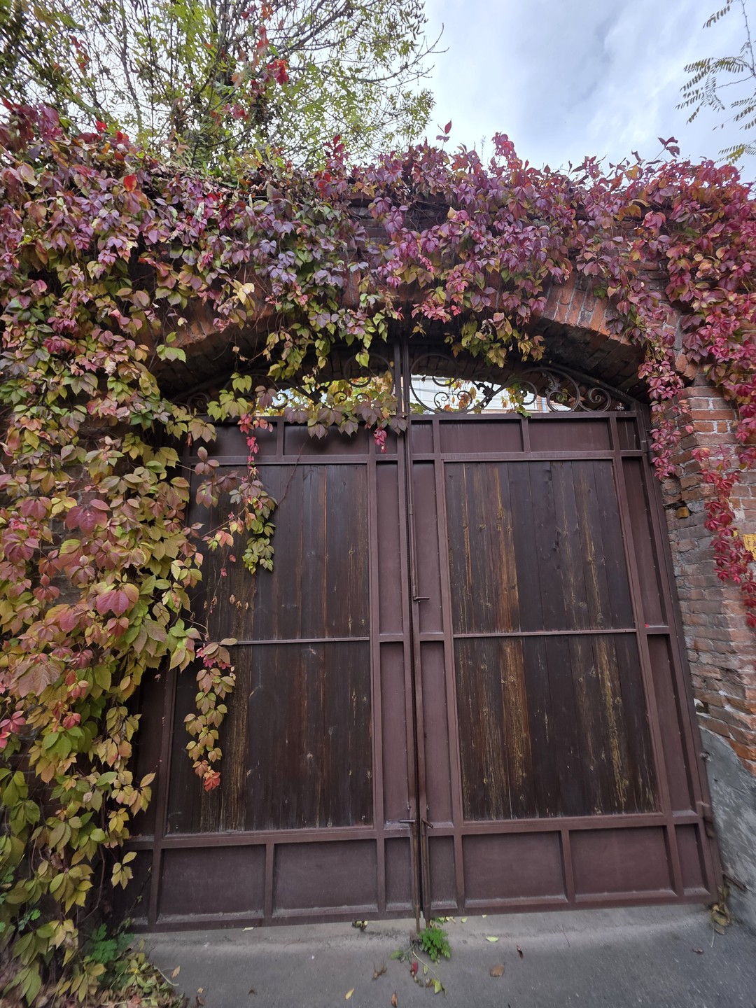 Владикавказ глазами местных жителей (Ваниева)