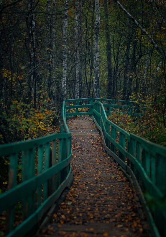 Фото к экскурсии Старинное село Серебряное (из Омска)