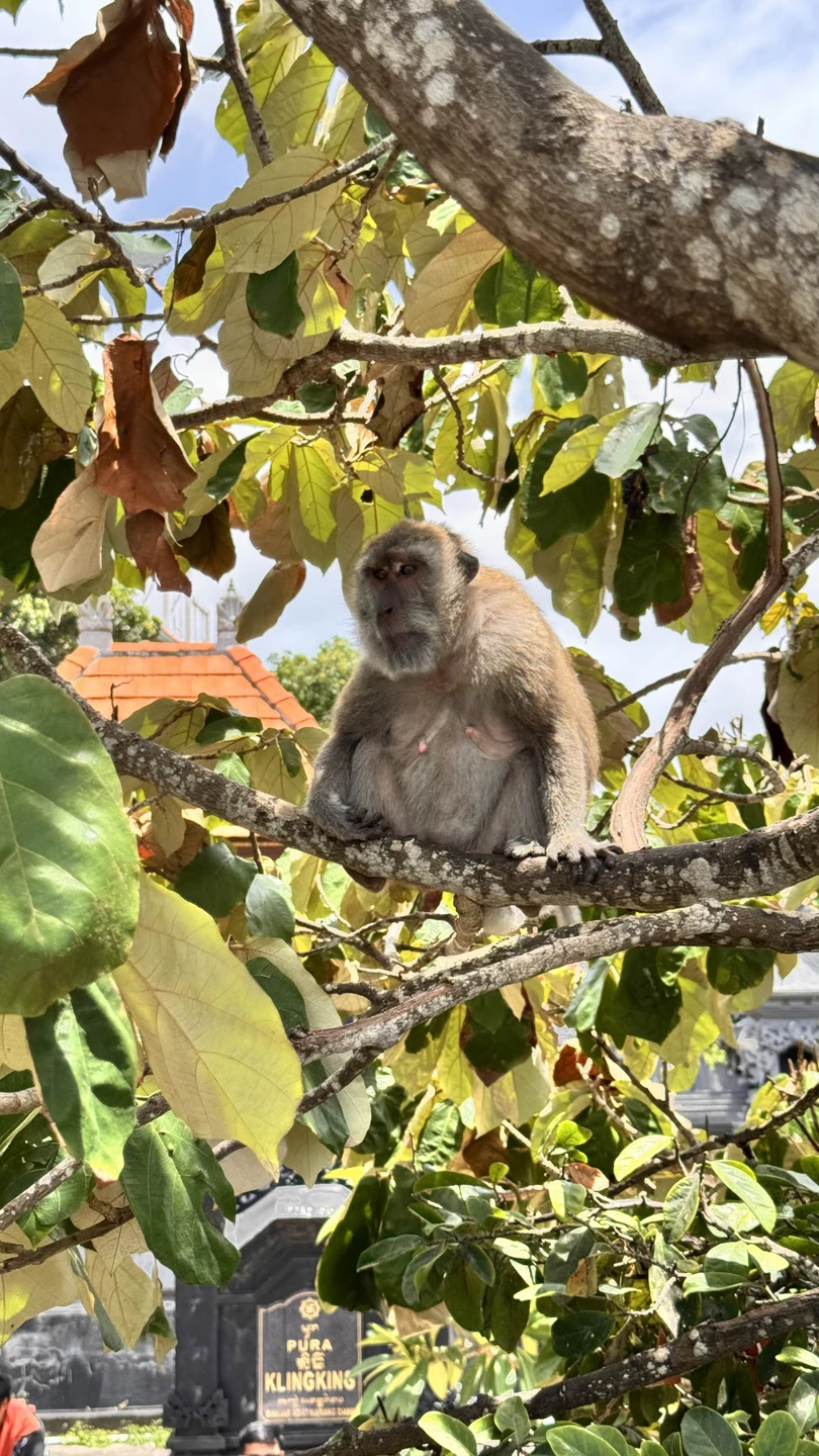 В первую очередь хотелось бы поблагодарить Эльдара и всю команду за организацию экскурсии на Нуса Пенида