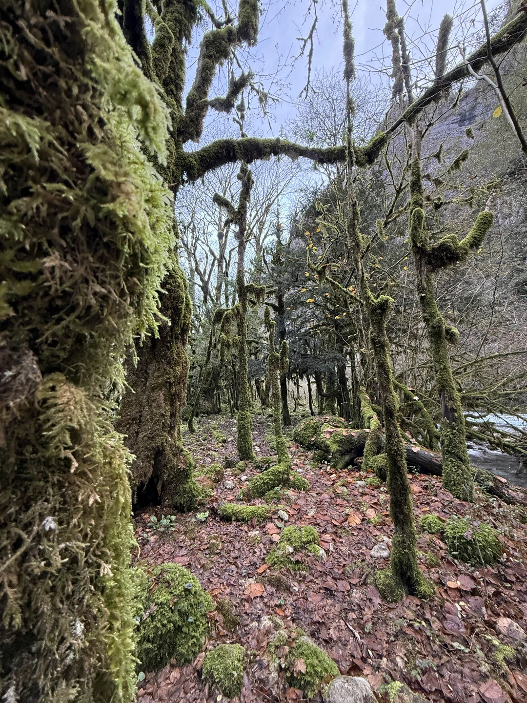 Спасибо Вячеславу за экскурсию!