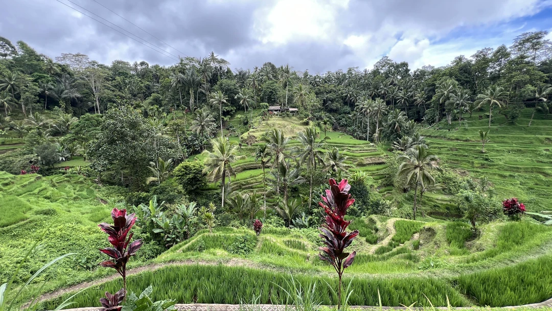 Всё понравилось. Маршрут интересный. Понравилась доброжелательность водителя и то, что нет каких-то гонок в той или