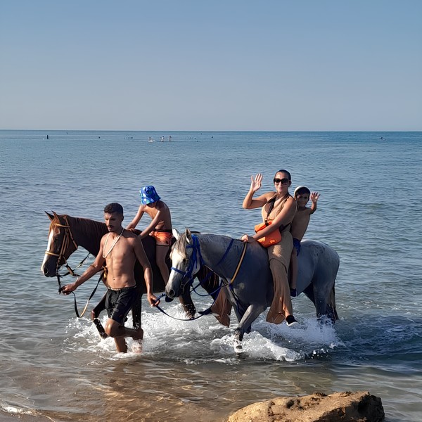 В Красном море верхом на лошади