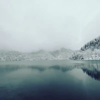 Фото отзыва 1: экскурсия "Из Адлера — к Гегскому водопаду и озеру Рица"