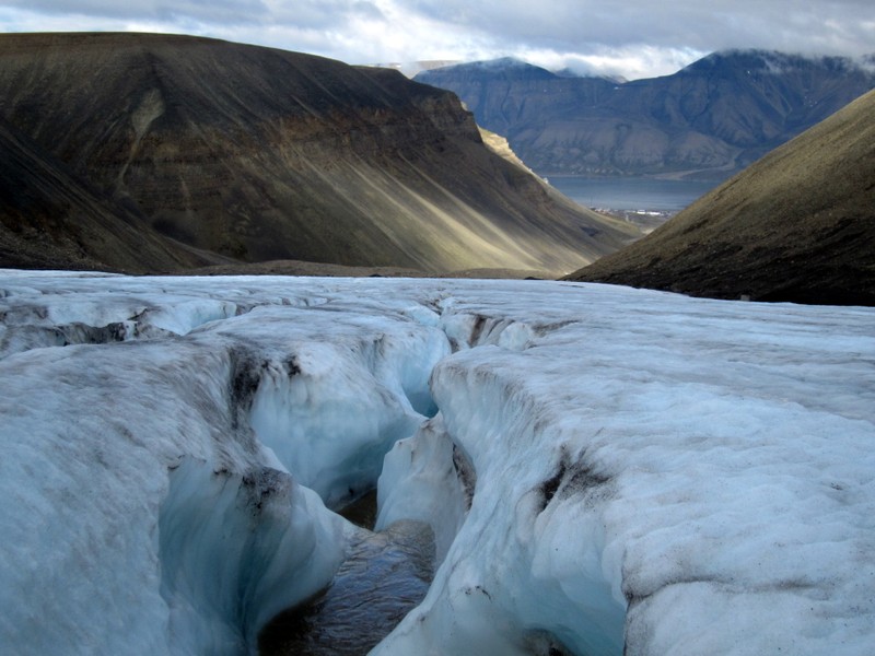 Фото отзыва 2: экскурсия "Лонгйир: арктическое лето"
