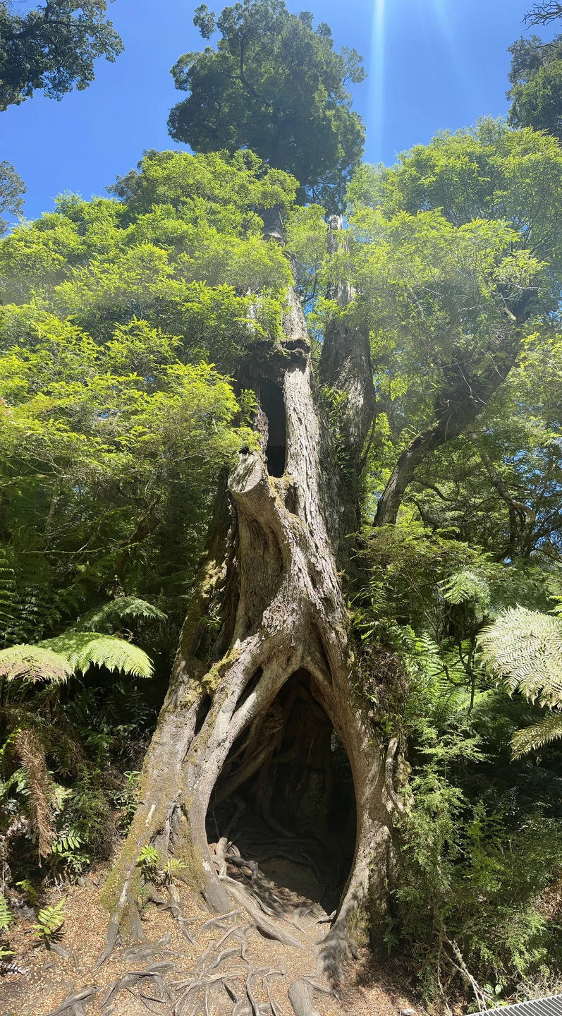 Экскурсия абсолютно достойна внимания! Очень много остановок в красивых местах, ну и конечно напоследок 12 апостолов🤩это