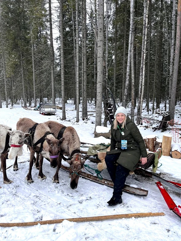 Прокатиться на собачьей упряжке в Карелии