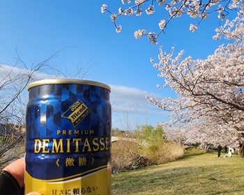 Тоёхаси и парк Хамамацу