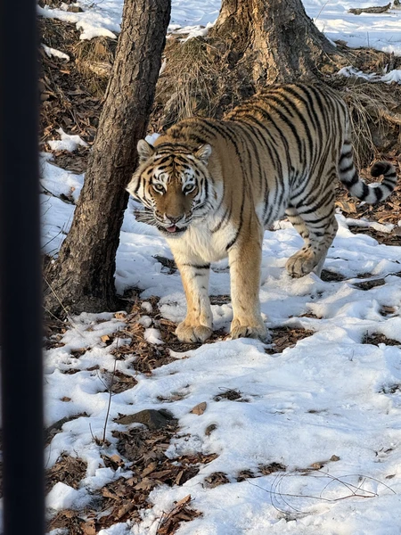 Были на экскурсии в Находку 3 февраля с Екатериной
