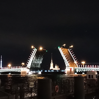 Фото отзыва 1: экскурсия "Атмосферная прогулка по ночному Петербургу"