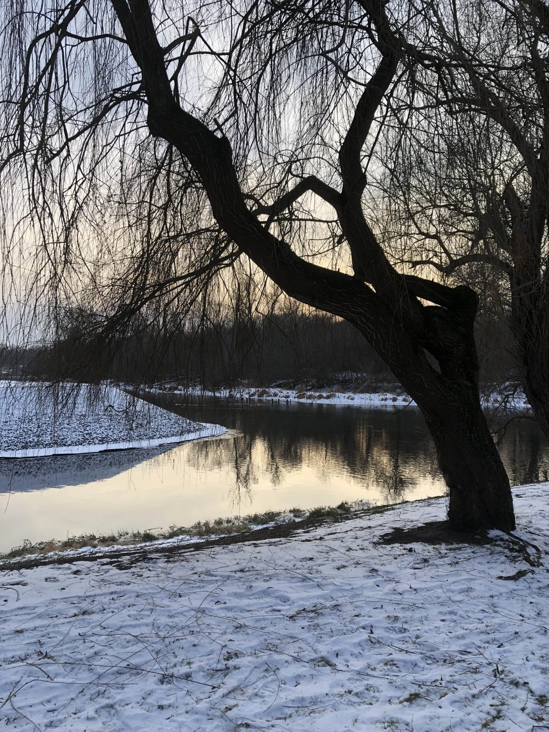 Великолепно! Автобус комфортабелен и удобен,водитель профессионал! Егор много знает,интересно и с юмором подает материал,говорит четко и