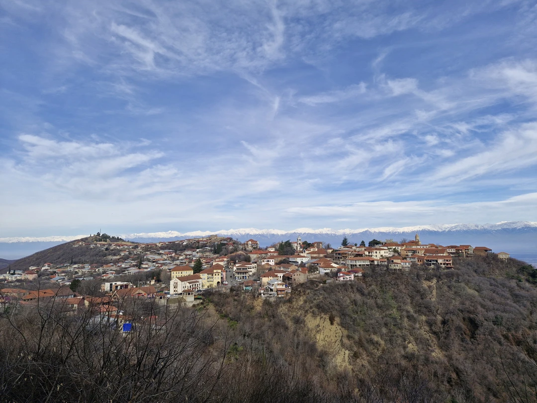 Групповая поездка в Кахетию: Бодбе, Сигнахи и Цинандали (Юлия)