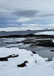 Фото отзыва 3: экскурсия "Териберка: дыхание Ледовитого океана"