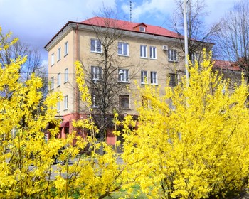 Район Амалиенау