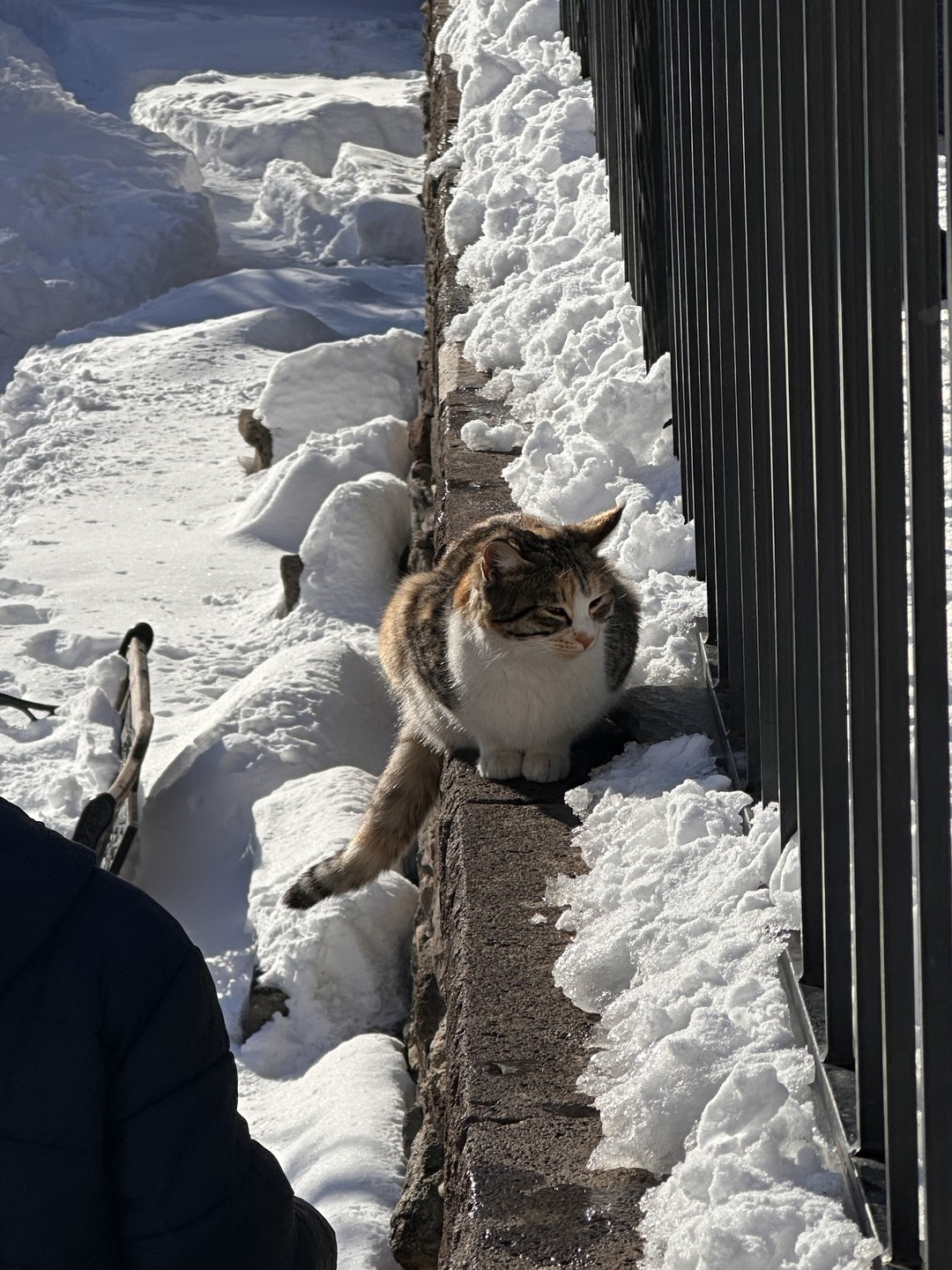 Очень понравилась экскурсия! Все четко показано и рассказано. Ездили по местам, где мы хотели побывать, в приятной атмосфере!