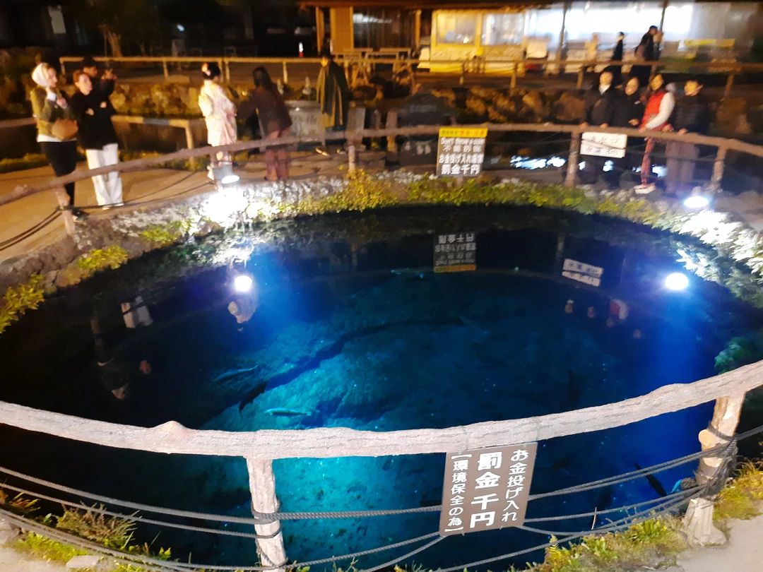 Шикарная экскурсия! Огромное спасибо гиду! Фудзияма весь день была видна, правда верхушечка закрывалась облаками периодически, но