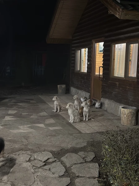 Были с мужем в середине декабря