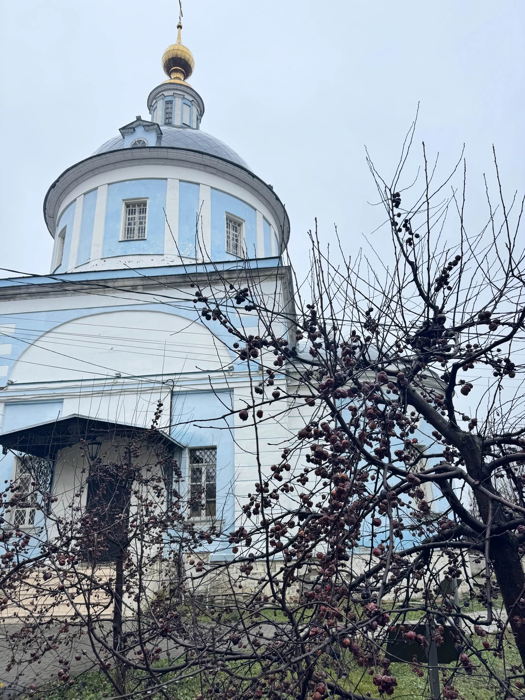 Очень душевная прогулка. Анна, спасибо!