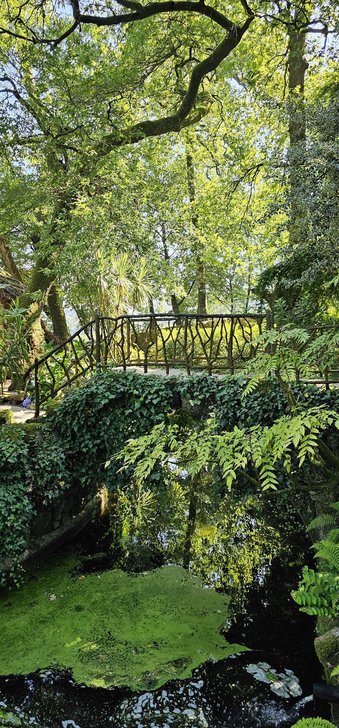 Очень понравилось! Гид умничка! Интересно и много рассказывал. Рекомендую.