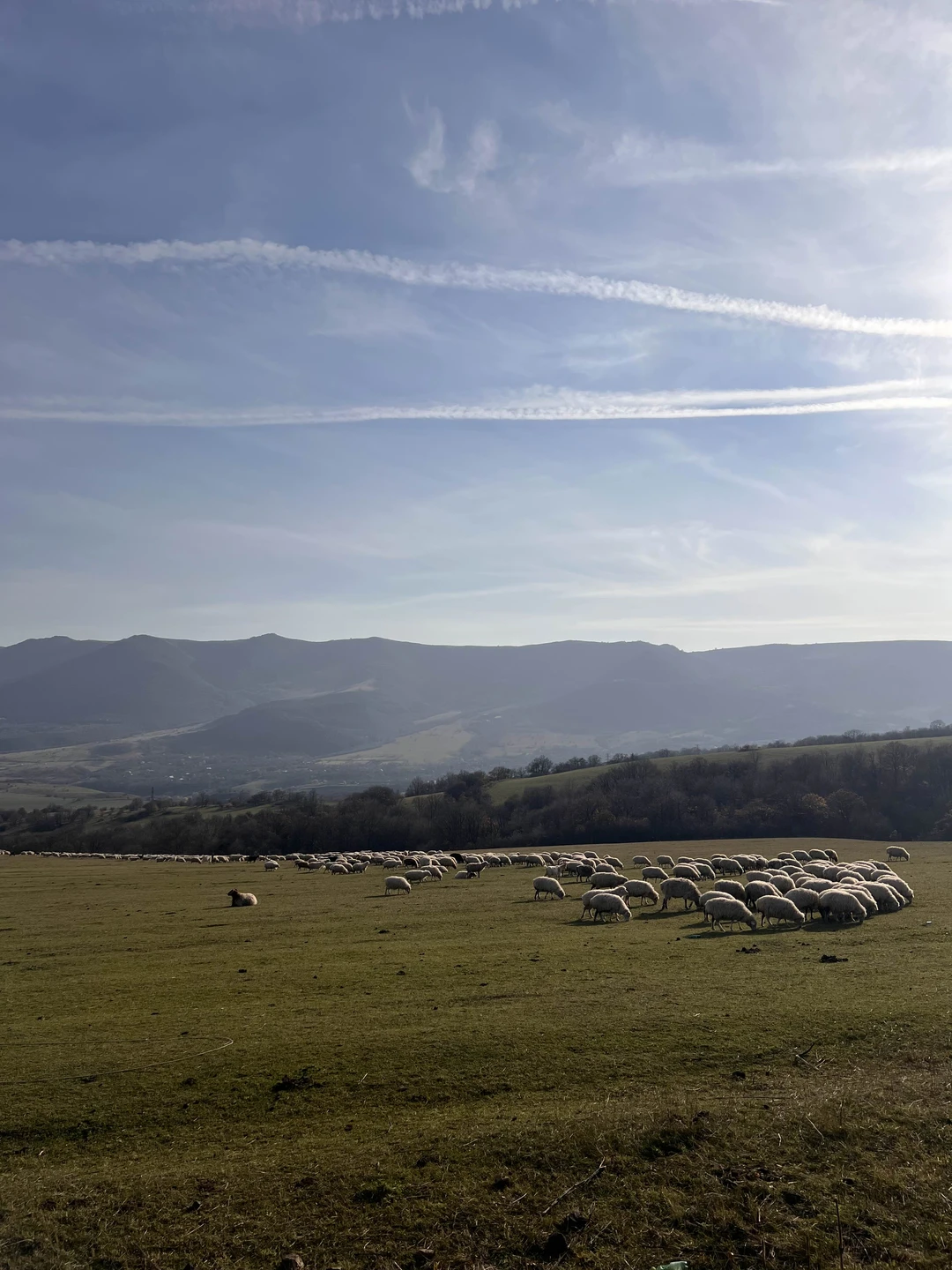 Групповая экскурсия из Тбилиси в каньон Дашбаши и на мост-бриллиант (Карина)