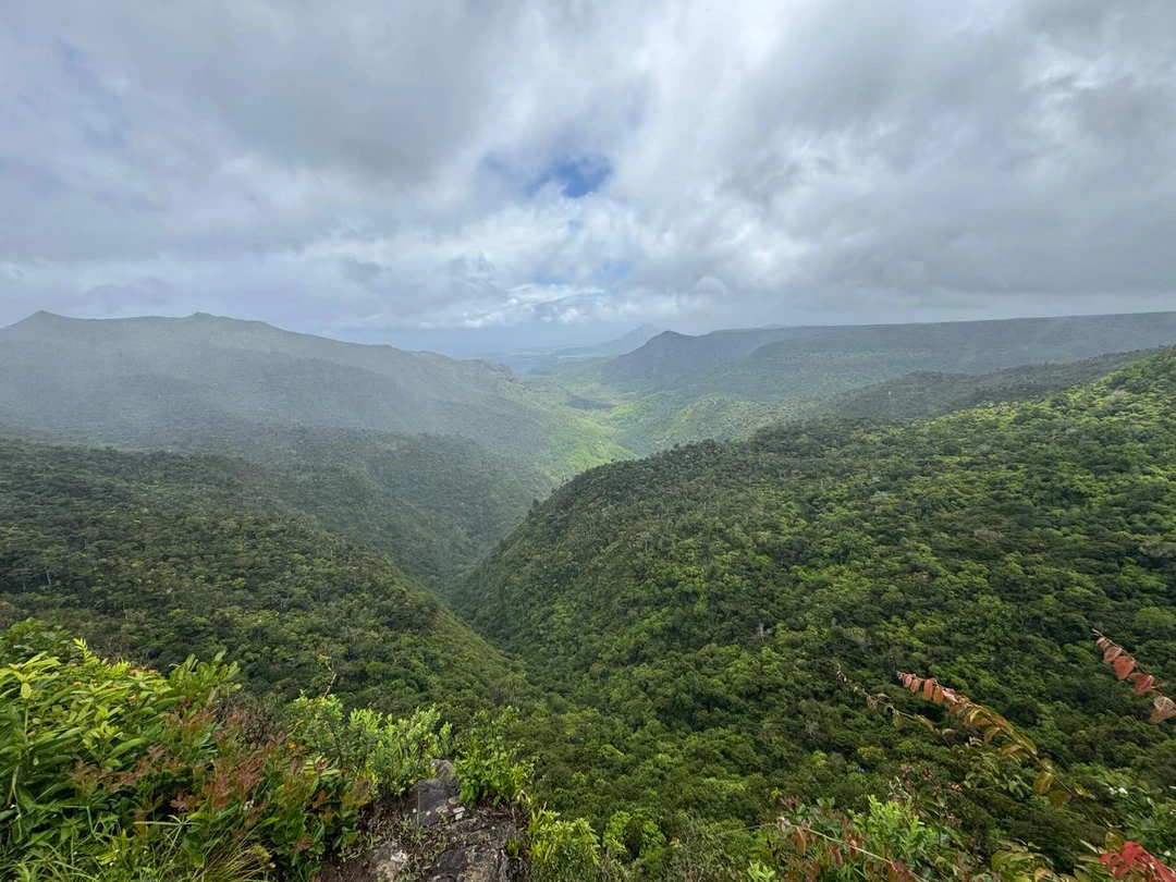 Все прошло отлично! Гид Мария, с прекрасным чувством юмора, показала много разных интересных мест, популярных среди