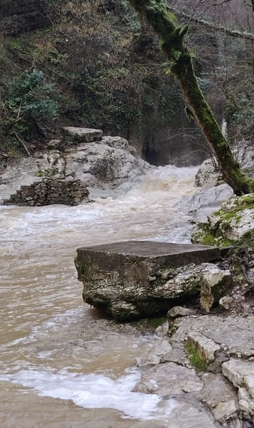 Отлично съездили! Побывали на даче Сталина, дегустации вина с прикольной познавательной лекцией, потом были на горе