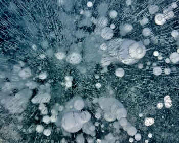 День отдыха