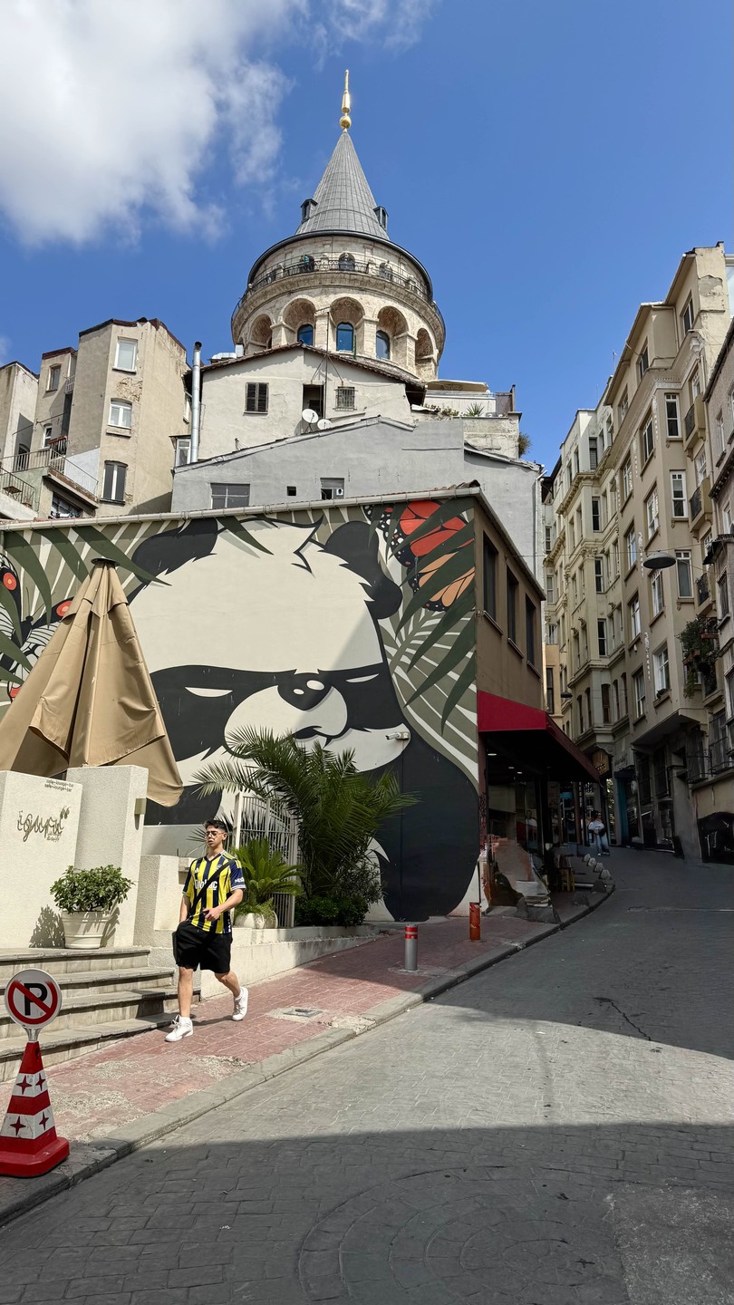 С Татьяной прогулялись по Истиклялю,окрестностям и боковым улочкам, все как в анонсе. Замечательные локации, приправленные интересным