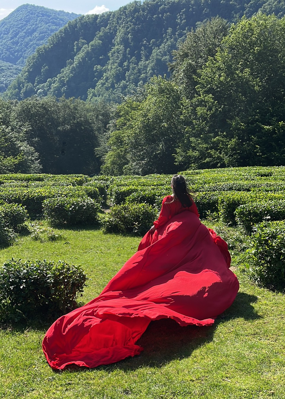 Неожиданный Сочи: чайные плантации, пляж «Сочифорния» и самолёты (6/12)