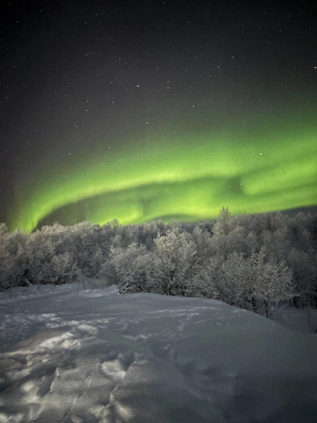 Нашим гидом был Леонид - очень позитивный человек, много шутит, поддерживает разговор, и умеет классно фотографировать
