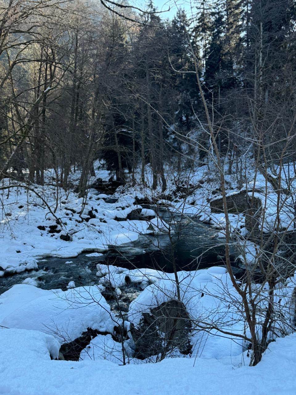 Экскурсия прошла по запланированному плану. Ограничений во времени посещений достопримечательностей не было. Водитель и гид были