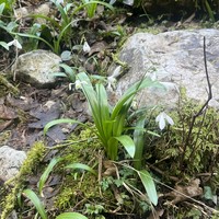 Фото отзыва 3: экскурсия ""