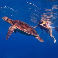 Фото отзыва 3: экскурсия "Снорклинг с гигантскими скатами — на Нуса Пенида"