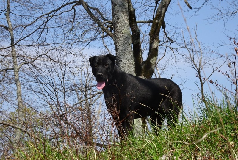 Перезагрузка в горах и на море в мини-группе
