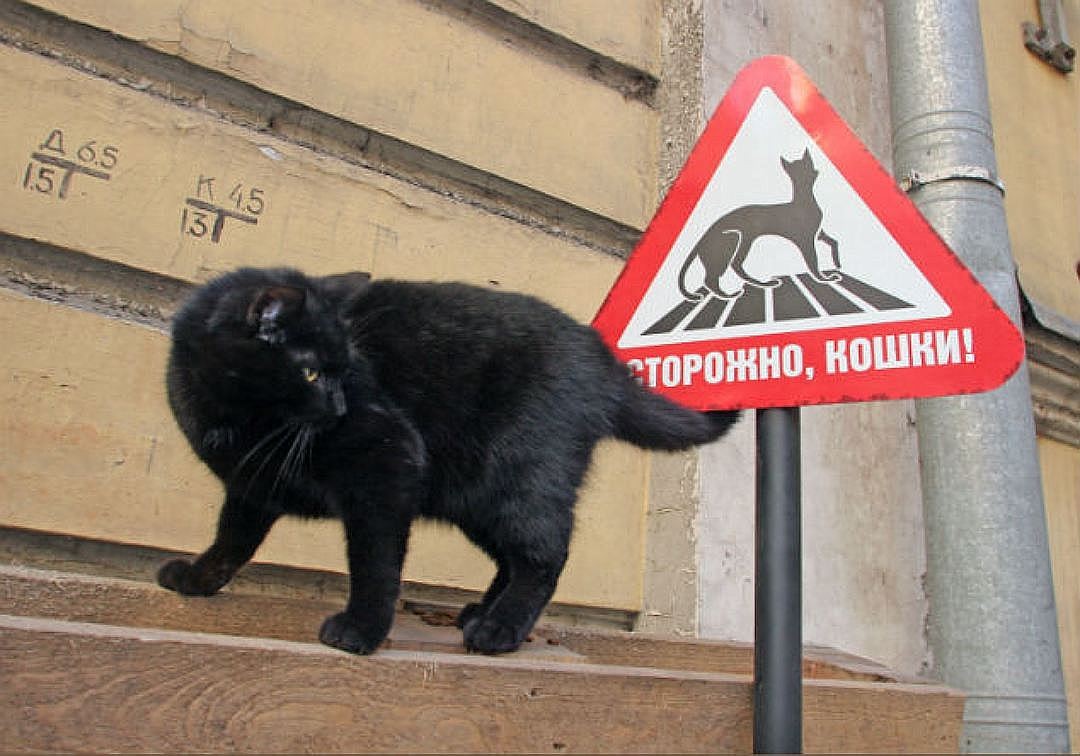 Фото В главной роли — Петербург!