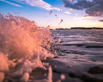 Поселение Головнино