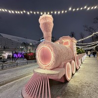 Фото отзыва 3: экскурсия "Новый год в Москве от Петра до наших дней: история праздничного освещения"