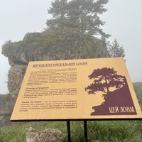 Фото отзыва 2: экскурсия "Горная Ингушетия — страна башен и легенд"