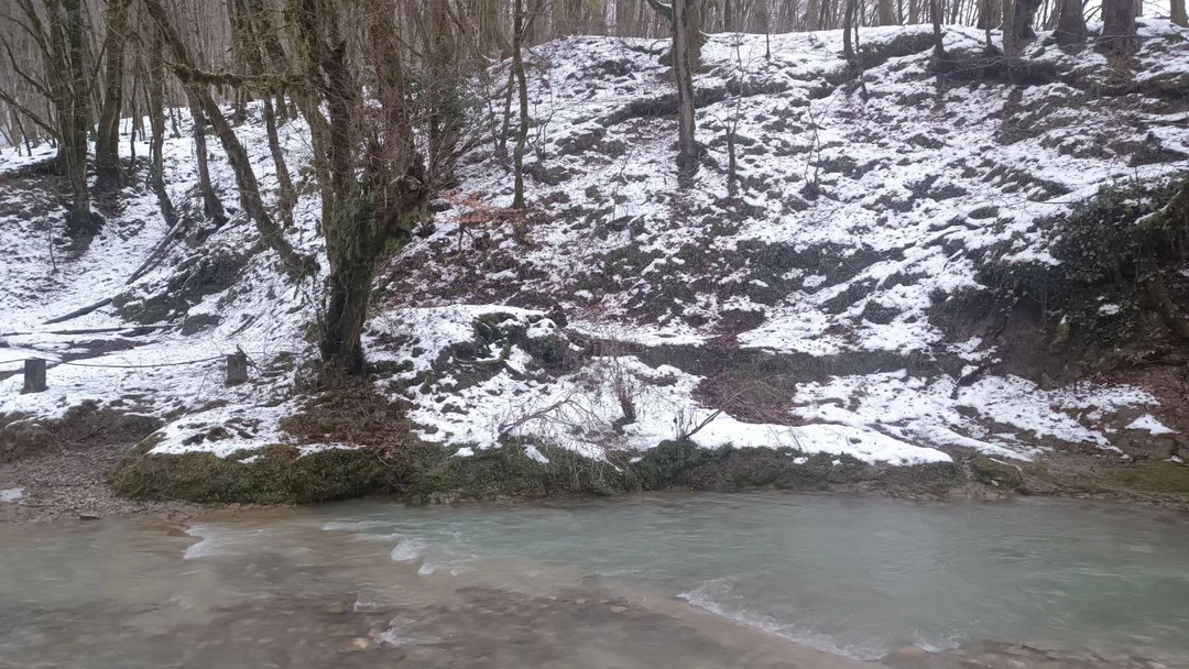 Экскурсия понравилась. Отличная природа, вежливый экскурсовод, помогал при возникновении вопросов