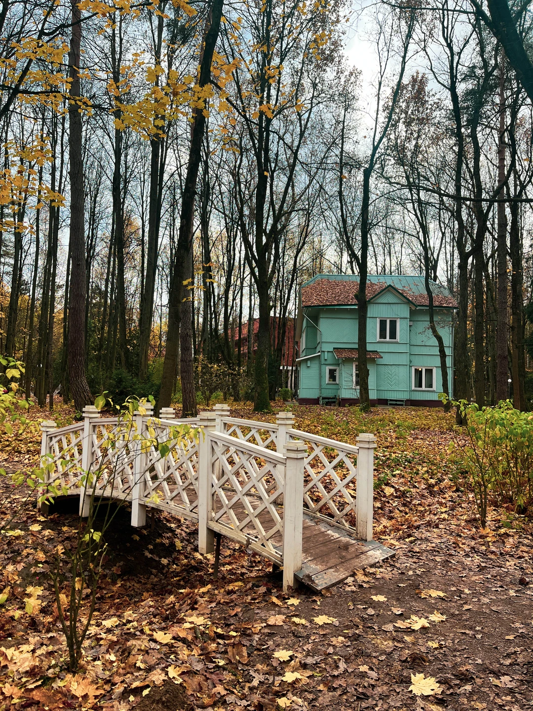 Переделкино с местным жителем и членом Союза писателей (Светлана)