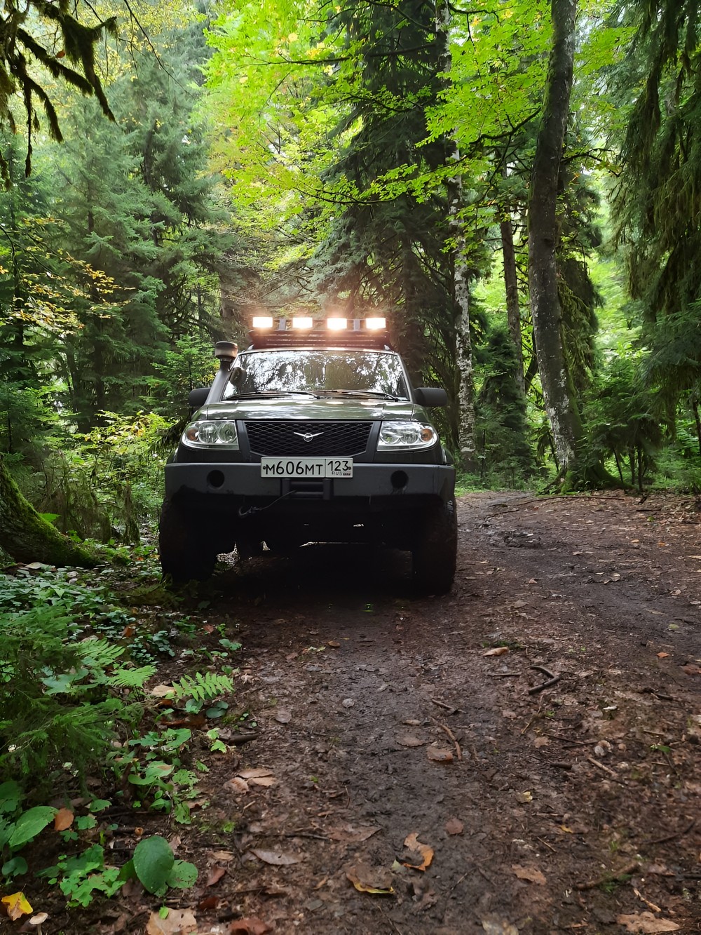 Мастер-класс по рисованию в горах Сочи (15/15)