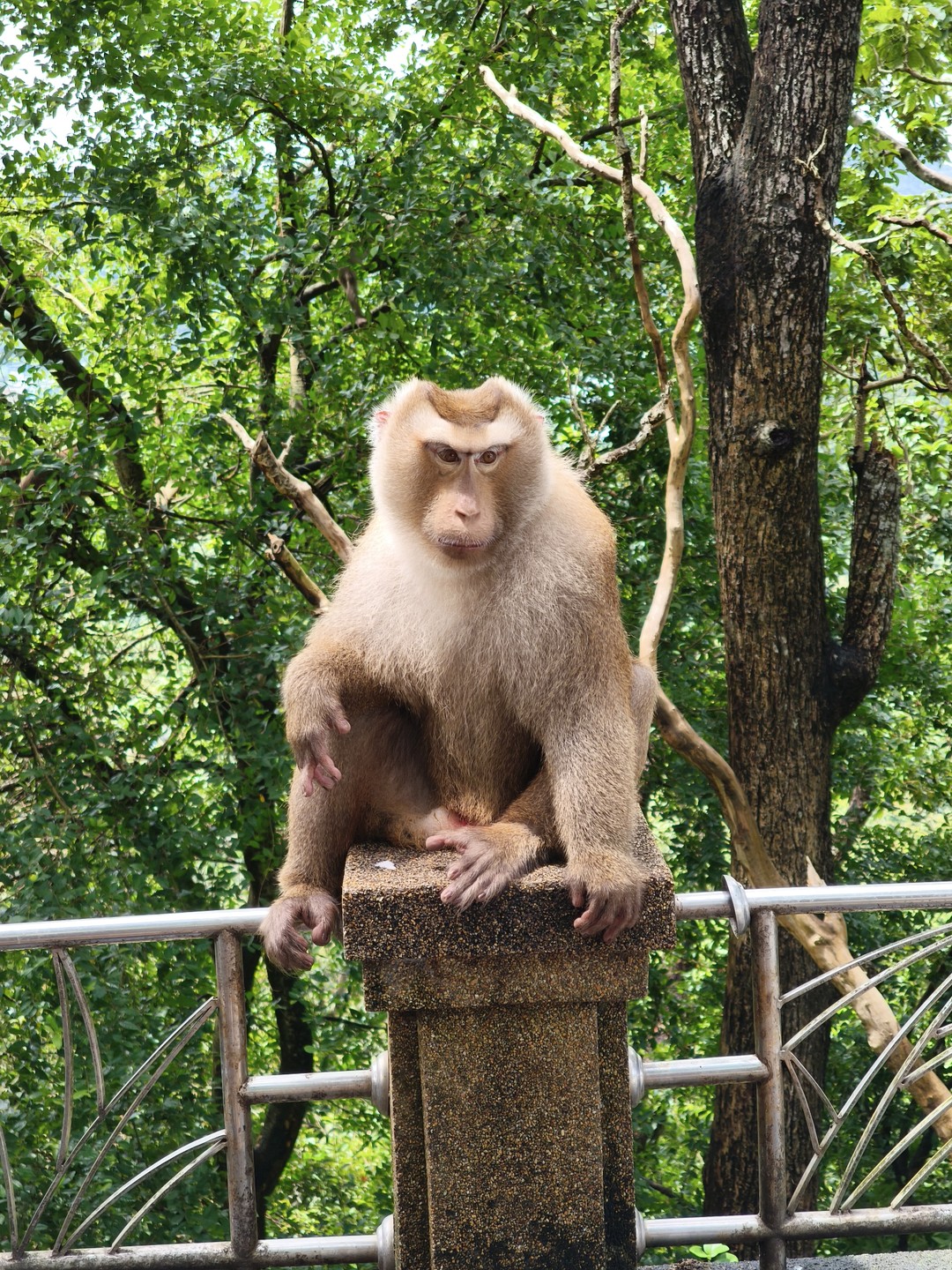 Сегодня были на экскурсии с Владимиром! Это был замечательный и запоминающийся день! Хочется отметить великолепные знания