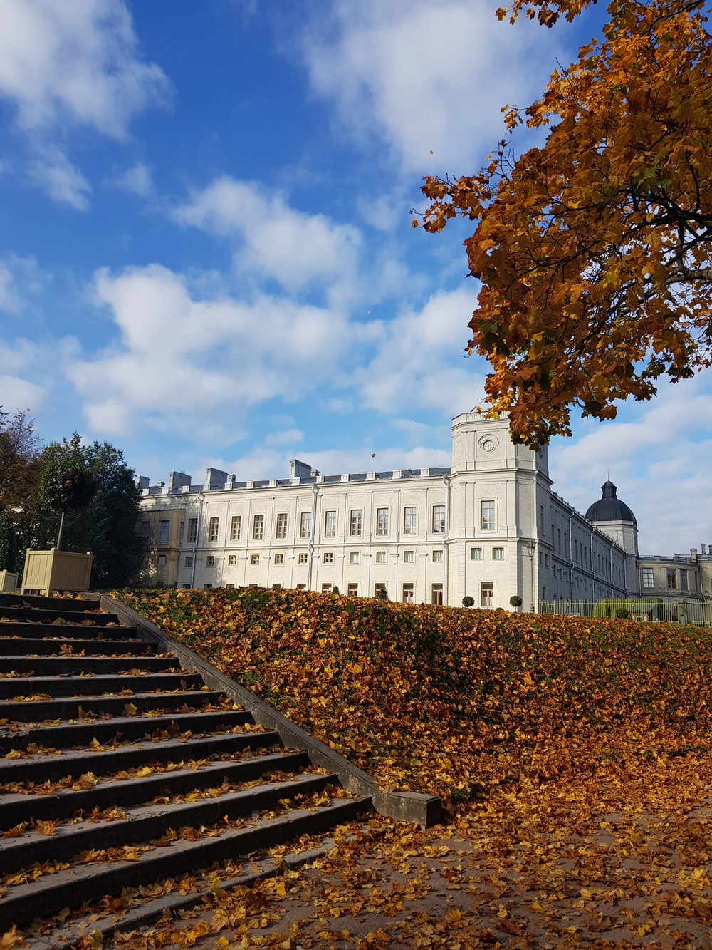 Гатчина: жизнь и любовь сквозь столетия (7/13)